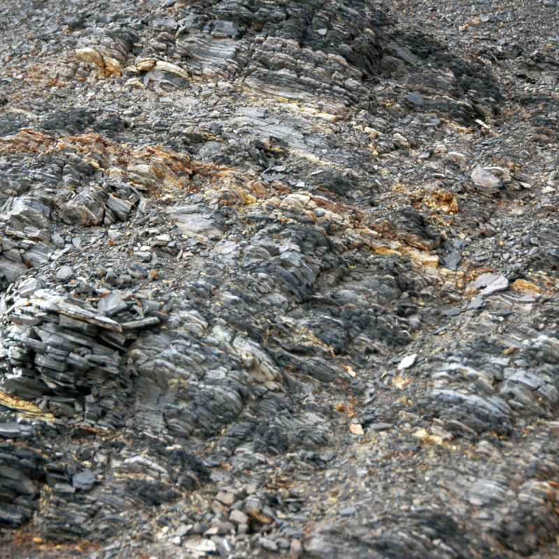 Untitled design (70)