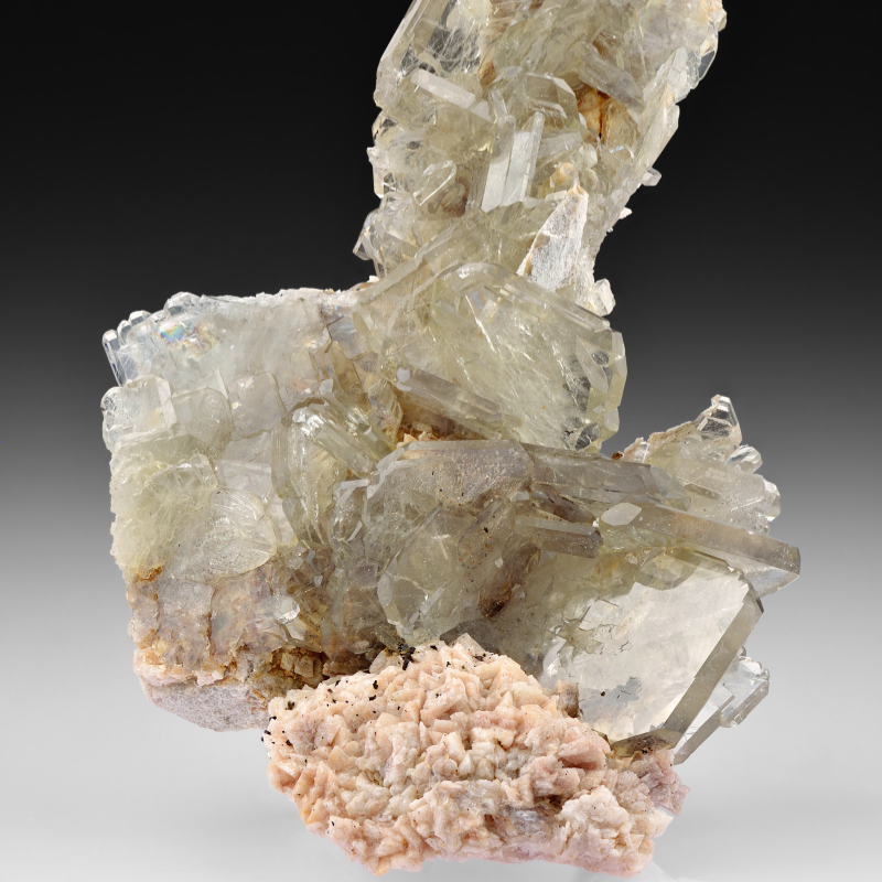 Untitled design (71)